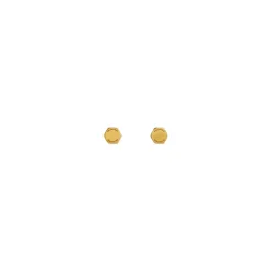 Orecchini Garage Double Screw in Oro Anticato